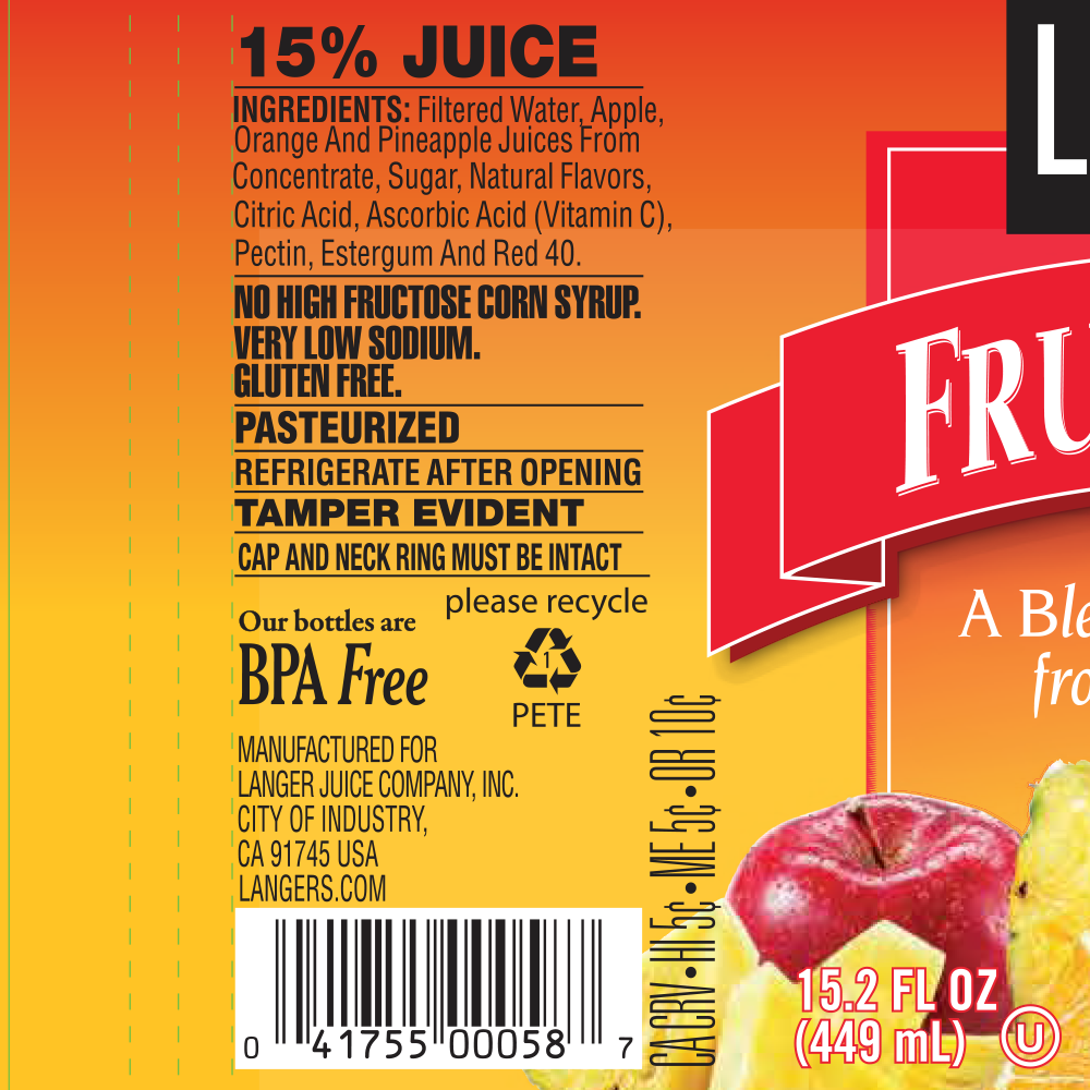 12pk 15.2oz Fruit Punch